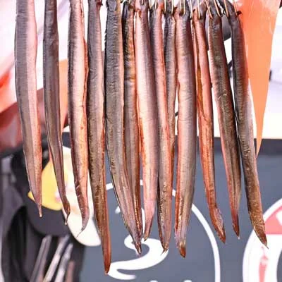 Borniak Eel